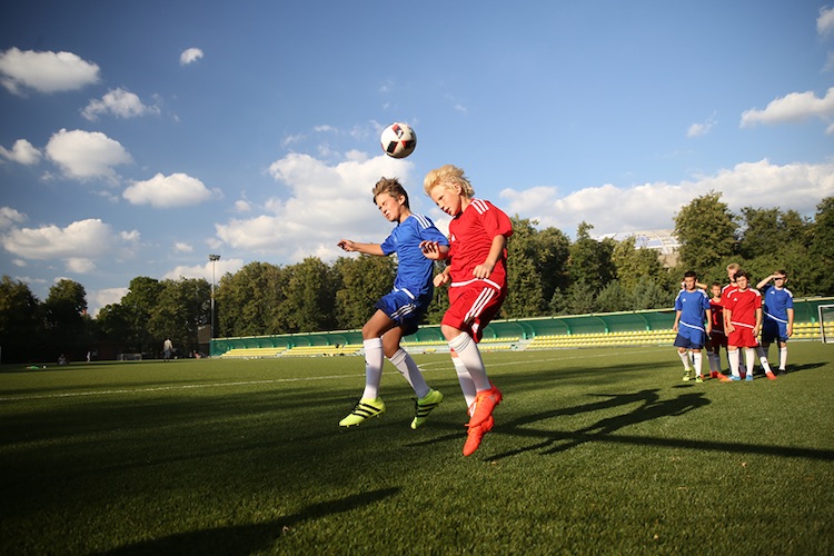 Adidas camps 3