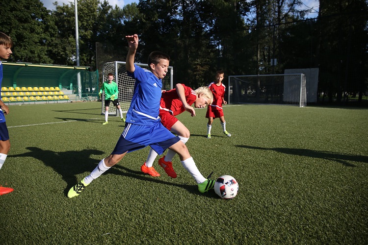 Adidas camps 8